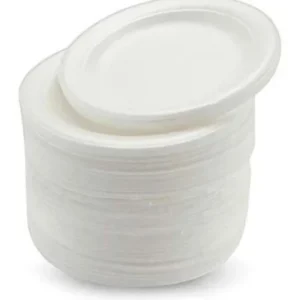 Thermocol Plate LP 14 - (Small Plate)